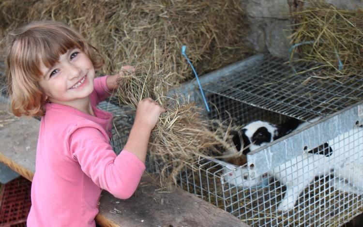 Ferme Pedagogique " L'Bout D'Chemin" Villa Genevreuille Eksteriør billede