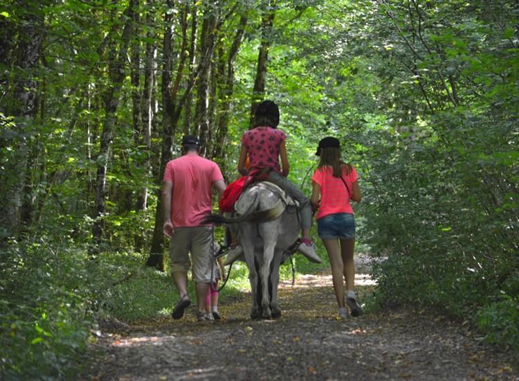 Ferme Pedagogique " L'Bout D'Chemin" Villa Genevreuille Eksteriør billede