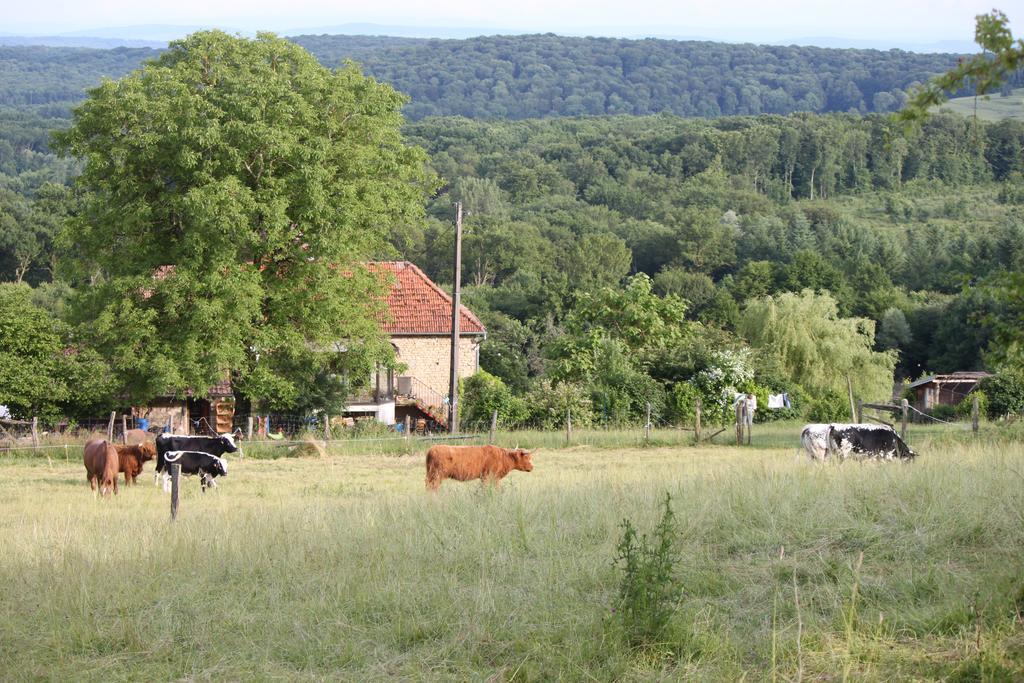 Ferme Pedagogique " L'Bout D'Chemin" Villa Genevreuille Eksteriør billede